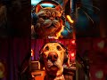 Return Policy Gone Wrong #PetFails #AmazonReturn #FunnyAnimals #ComedyPets