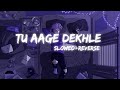 Tu aake dekh le  king  slowed and reverb  dd4lofi  lofi music