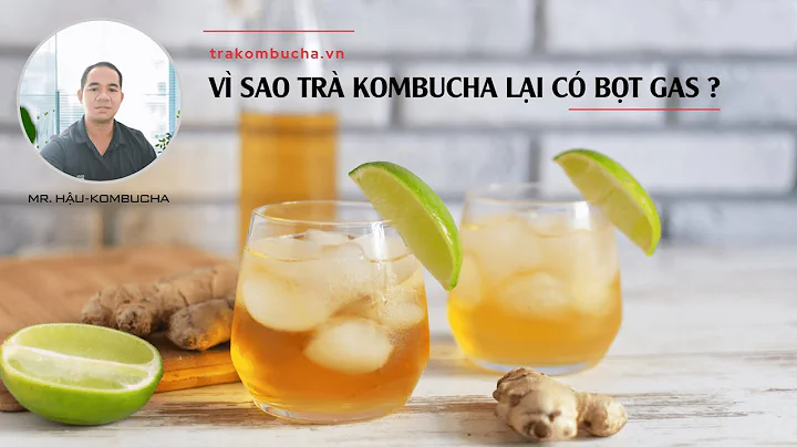 VÌ SAO TRÀ KOMBUCHA LẠI CÓ BỌT GAS?