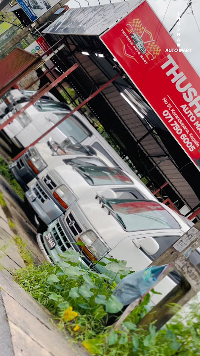 Dollypure 🐬💕 | 0776750687 #viral