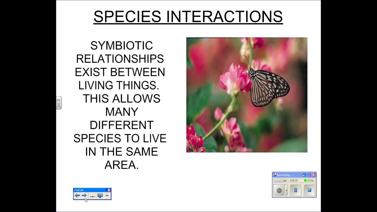 Eoc biology video review 7 ecology youtube