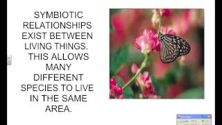 EOC Biology Video Review #7 Ecology