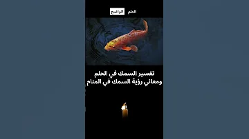 تفسير السمك في الحلم ومعاني رؤية السمك في المنام تفسير الأحلام تفسير ابن سيرين الأحلام 