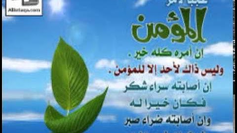 من روائع التلاوات سعيد دباح من سورة طه 2014 - 1435هـ