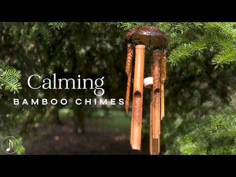 Real Bamboo Wind Chimes in the Breeze 🌿 Authentic Nature Sounds for Sleep & Meditation 🌿