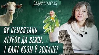 П'яніцу і ў лужыне рай – Пра п'янства, бога і дапамогу/ Беларускія прыказкі | Моўныя скарбы