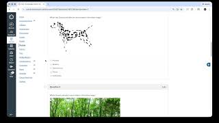 Visual Communications Assessments