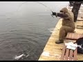 Рыбалка в Савельево 28 10 2016