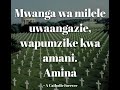 Mwanga Wa Milele Uwaangazie Wapumzike Kwa Amani Amina Mwanga Wa Milele Uwaangazie Wapumzike Kwa Amani Amina