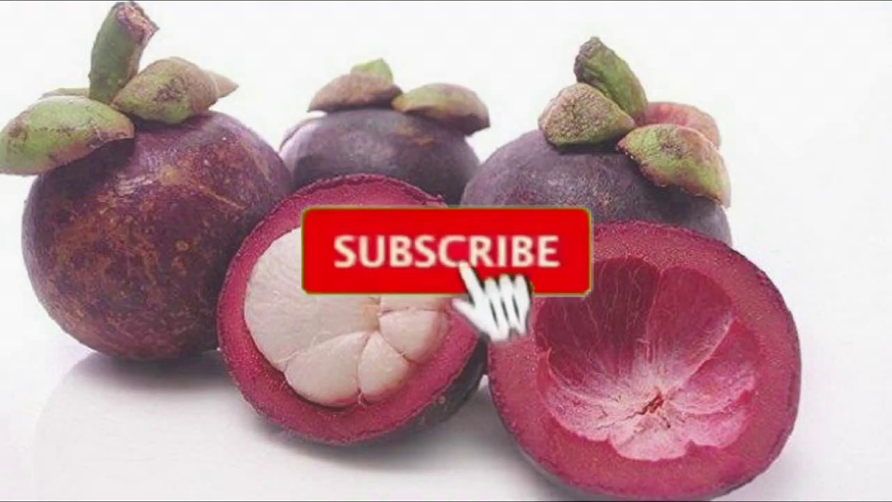 8 KHASIAT BUAH MANGGIS UNTUK KESEHATAN 