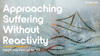 Joseph Goldstein on Approaching Suffering without Reactivity – Insight Hour Podcast Ep. 195