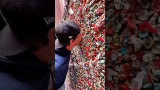 Same Gum After 1 Year