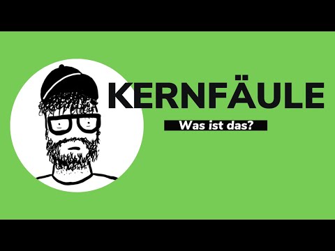 Video: Kernfäule bei Zuckermais: Verw altung von Zuckermais mit Kernfäule