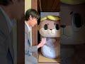 ÒㅅÓ。)ノ高知県のものを調合する非合法のかわうそが高知のひなまつりの準備したよー☆ #高知 #あるある @utopiaproject1066 さんのパロディだよー☆