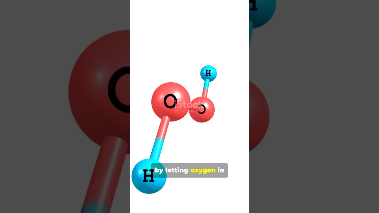 Яичная скорлупа: встроенная в природу система вентиляции.