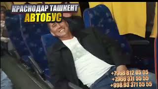 Тошкент Краснодар автобус 2024