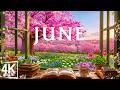 Peak June 2026 4K – Nature at Its Most Beautiful 🌼 Blooming Fields, Hills &amp; Serenity