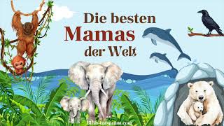 Traumreise für Kinder: Die besten Mamas der Welt - Geschichte über die beste Mama der Tierwelt