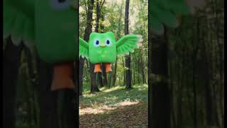 Why The Duolingo Owl Disappeared Forever?