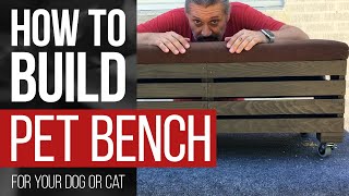 How To Build a Cat/Dog Window Bench with Storage | #HOWTO #DIY by DIY Xplorer 3,824 views 3 years ago 11 minutes, 49 seconds