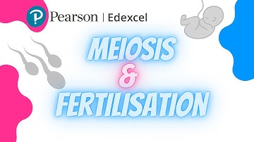 Edexcel IAL Biology Unit 2: Meiosis & Fertilisation