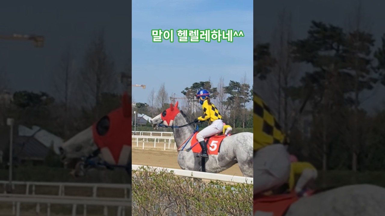 말모랴!대답하랴!바쁘다바뻐^^ # 경마 #말 #대상경주 #달려라말 #shorts