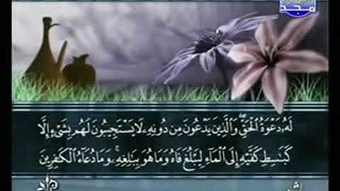 سورة الرعد من الآية 14 الى الآية 28