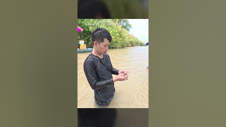 ดำน้ำล่าสมบัติ แม่น้ำเจ้าพระยา #shorts #short #non1life #นนท์วันไลฟ์ #นนท์