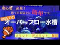 初めてのオーバーフロー水槽