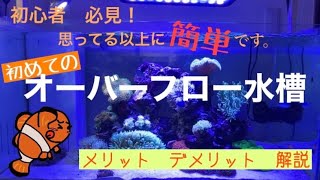初めてのオーバーフロー水槽