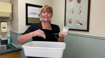 How to take your cat