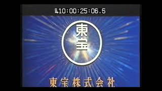 Ica Projectstohoakira Committee 19911988