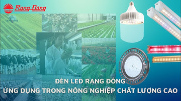 ỨNG DỤNG ĐÈN LED CHIẾU SÁNG CHO NÔNG NGHIỆP CHẤT LƯỢNG CAO || RẠNG ĐÔNG