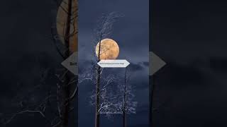 Download Lagu Allah will test you #allah #test #time #sabar #islamicvideo MP3