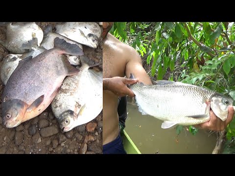Video: Peculiaridades De La Pesca De Abril