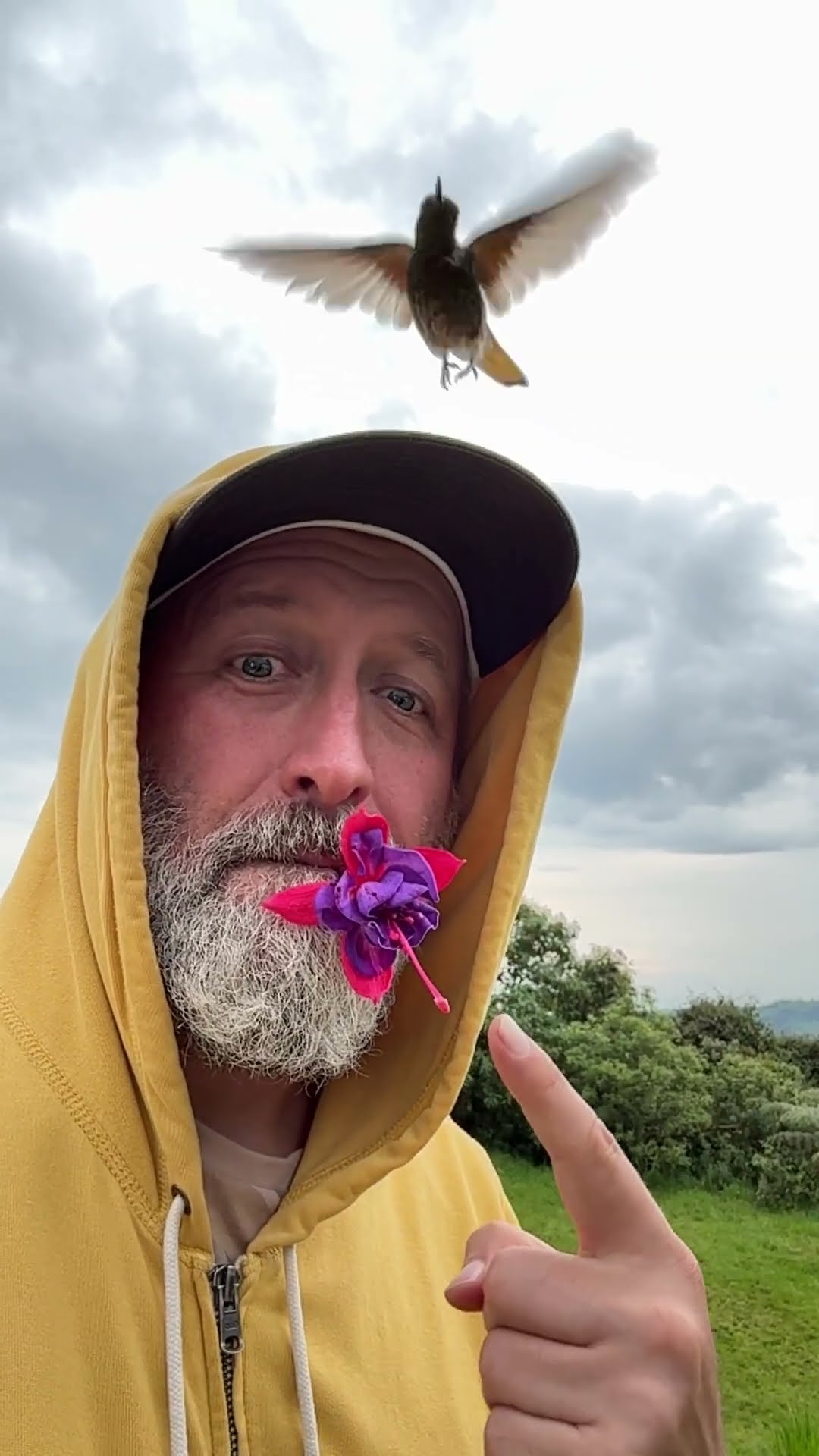 Hummingbird Drinks From Flower Held in Man's Mouth || ViralHog