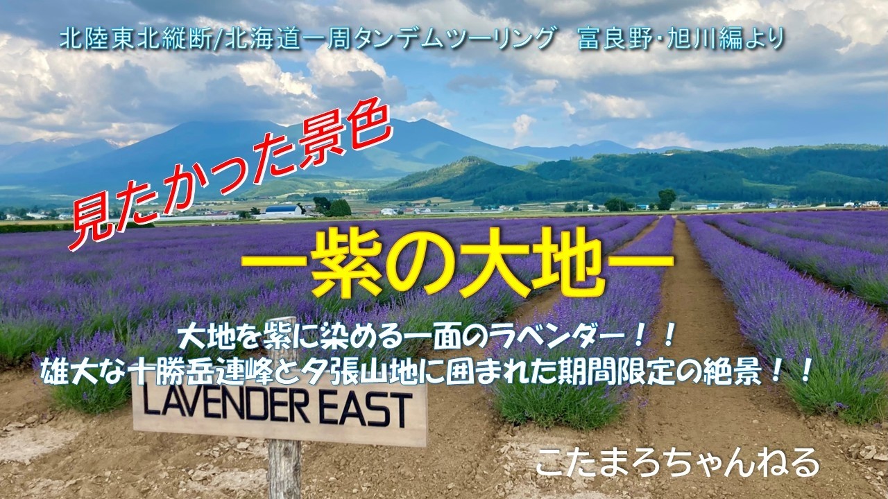 大地を紫に染める初夏の期間限定の絶景‼雄大な十勝岳連峰と夕張山地が