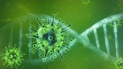 Nipah Virus Explained in 60 Seconds" #nipahvirus #shorts