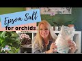 5 Reasons Why Epsom Salt Perfect for Orchids