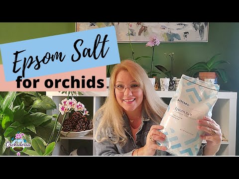 Video: Zijn orchideeën zouttolerant?