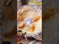 Creaciones Naturales: Proyectos DIY Sorprendentes de una Chica Creativa