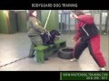 K9 Dog Training - Protection Dog Training K9 Dog Training - Protection Dog Training