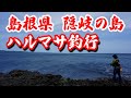 【春のロックショア・ヒラマサ釣行】島根県隠岐の島