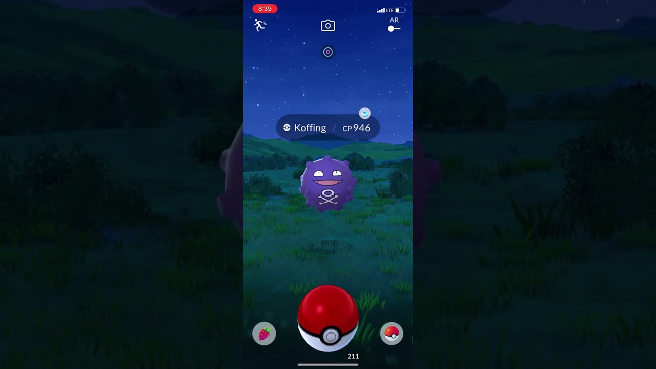 Late night daily incense hunt