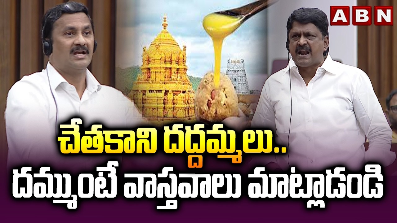 చేతకాని దద్దమ్మలు..దమ్ముంటే వాస్తవాలు మాట్లాడండి | Minister Payyavula Keshav Fires On YCP | ABN