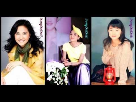 凤飞飞~~情人的眼泪 (钢琴版)