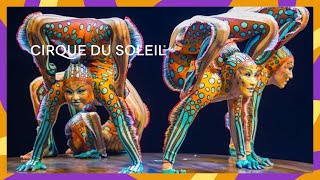 KURIOS - Hypnotique | Cirque Du Soleil Official Music Video KURIOS - Hypnotique | Cirque Du Soleil Official Music Video