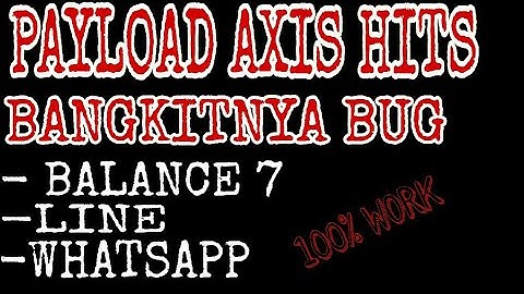 Payload axis hitz bug line,wa 100% konek