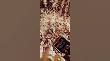 صوت الذهب تحت الأرض 