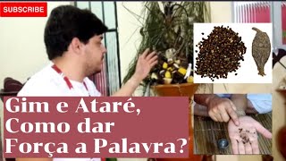 O Segredo Do Gim E Ataré